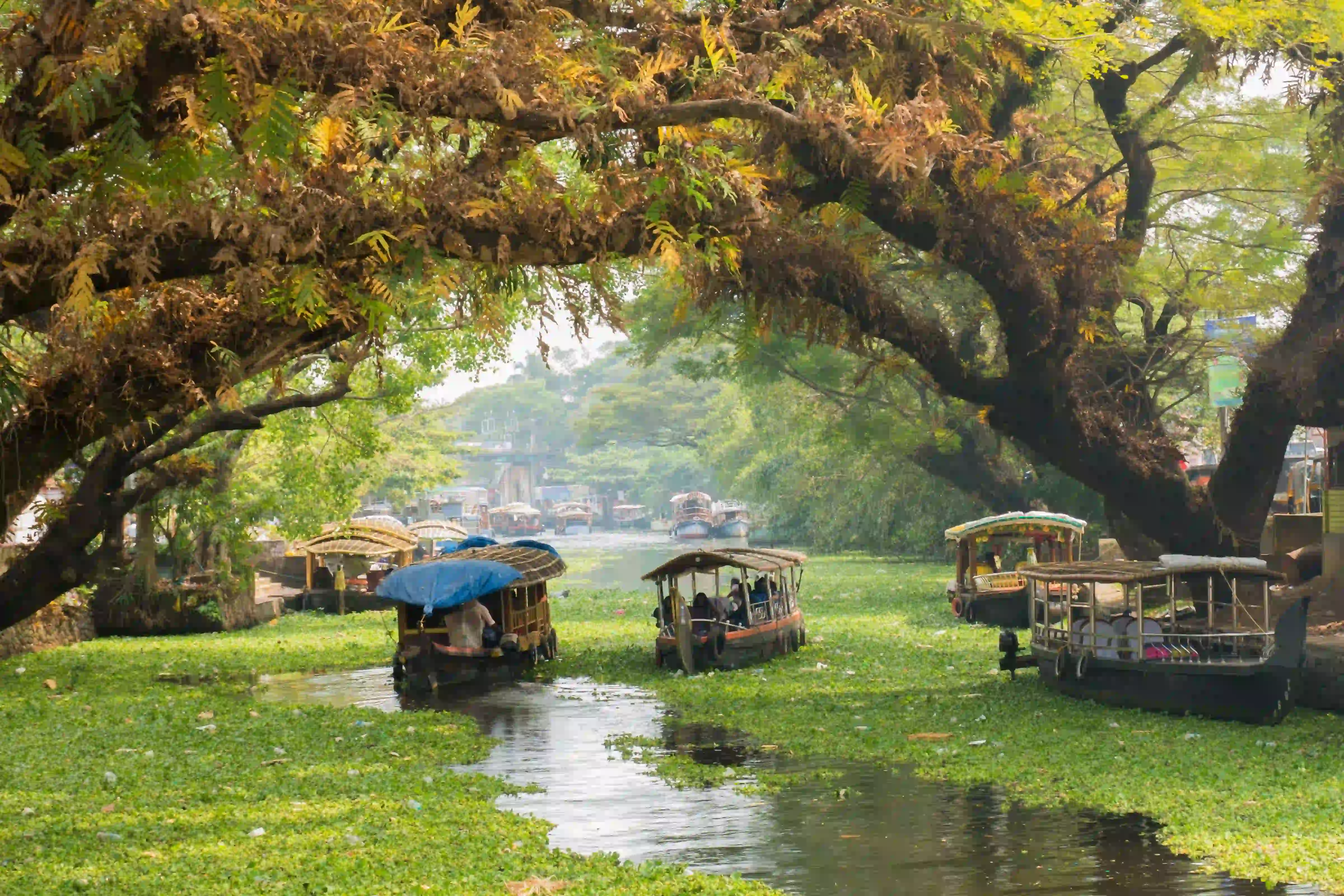 Captivating beauty of Kerala 6-day tour